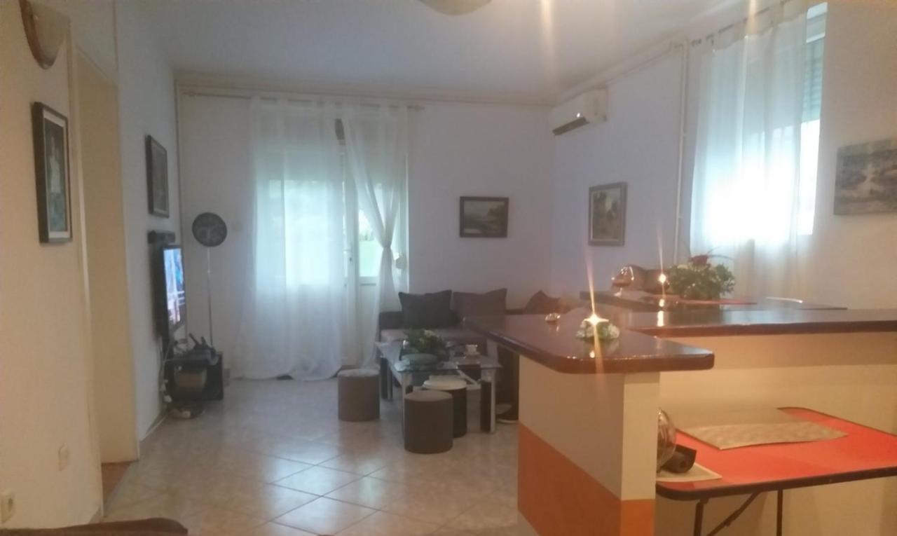 Apartamento Apartman Nv Vrnjačka Banja Exterior foto