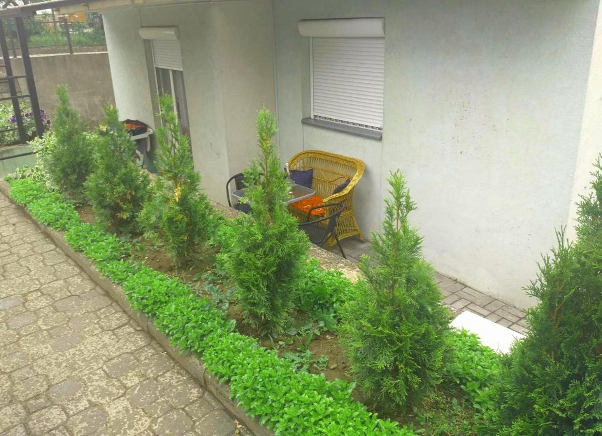 Apartamento Apartman Nv Vrnjačka Banja Exterior foto