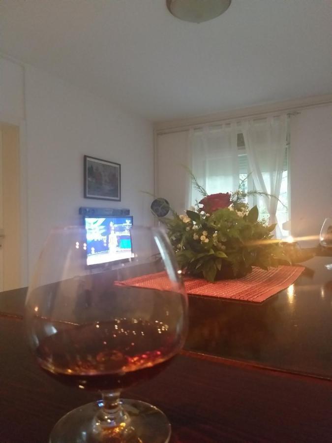 Apartamento Apartman Nv Vrnjačka Banja Exterior foto